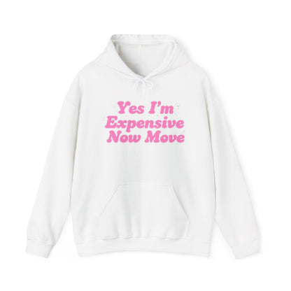 "Yes I’m Expensive Now Move" Pullover Hoodie – $45