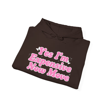 "Yes I’m Expensive Now Move" Pullover Hoodie – $45