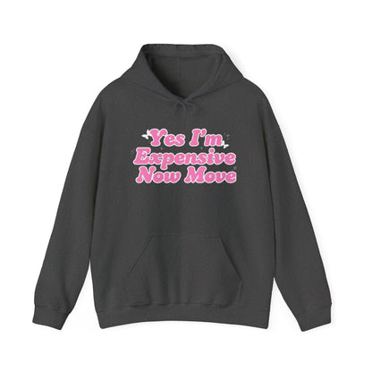 "Yes I’m Expensive Now Move" Pullover Hoodie – $45