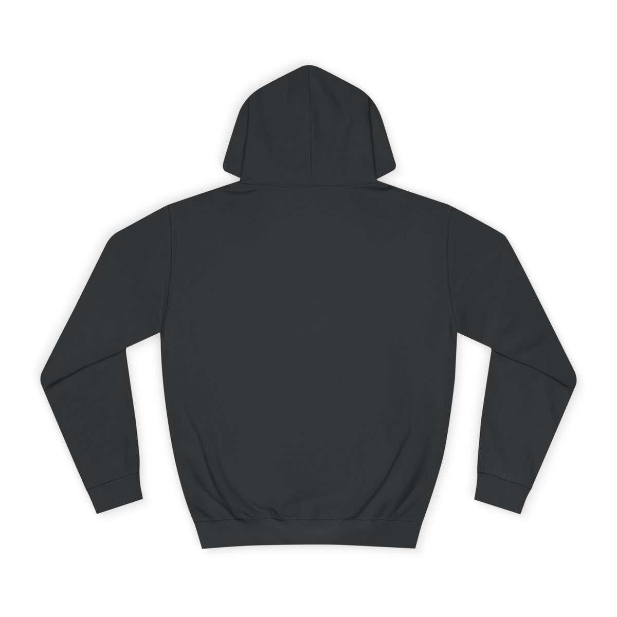 First Class Mindset College Style Hoodie – $45