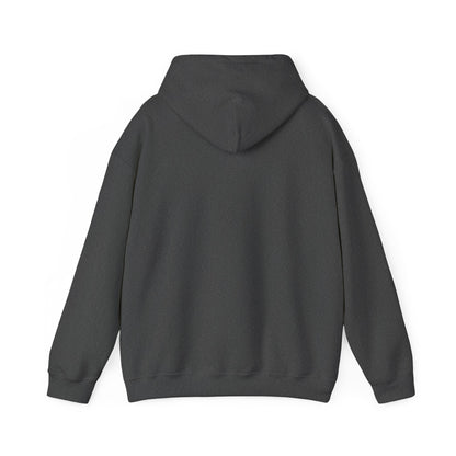 "Out of Your Tax Bracket" Pullover Hoodie for Female Entrepreneurs and Creatives – $45