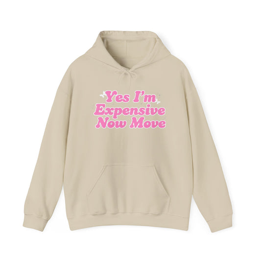 "Yes I’m Expensive Now Move" Pullover Hoodie – $45