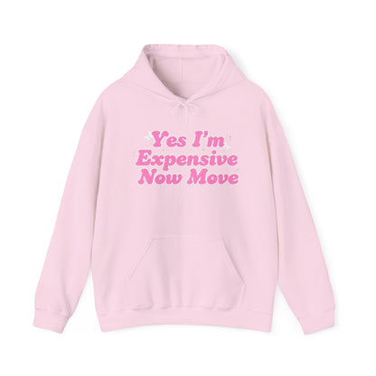 "Yes I’m Expensive Now Move" Pullover Hoodie – $45